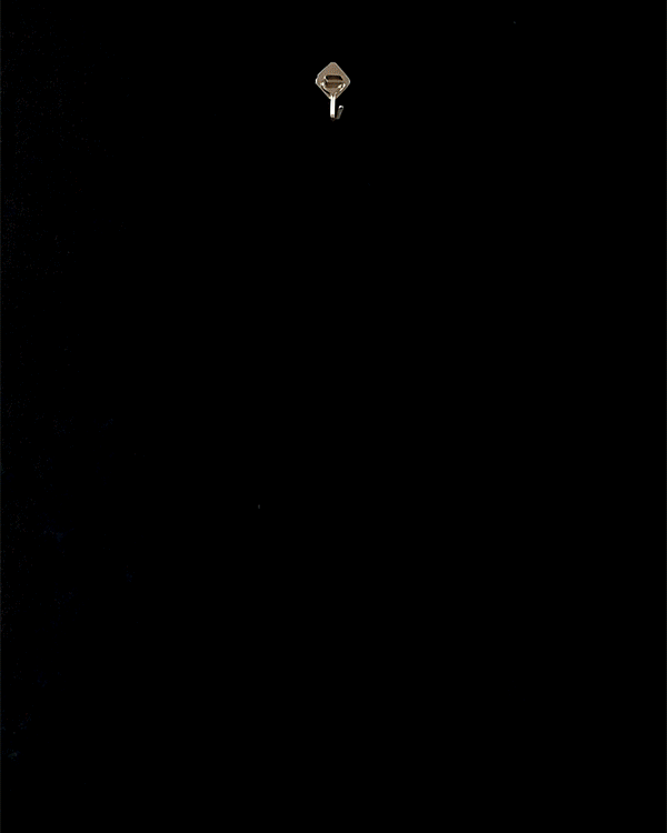 202608261787718051.gif